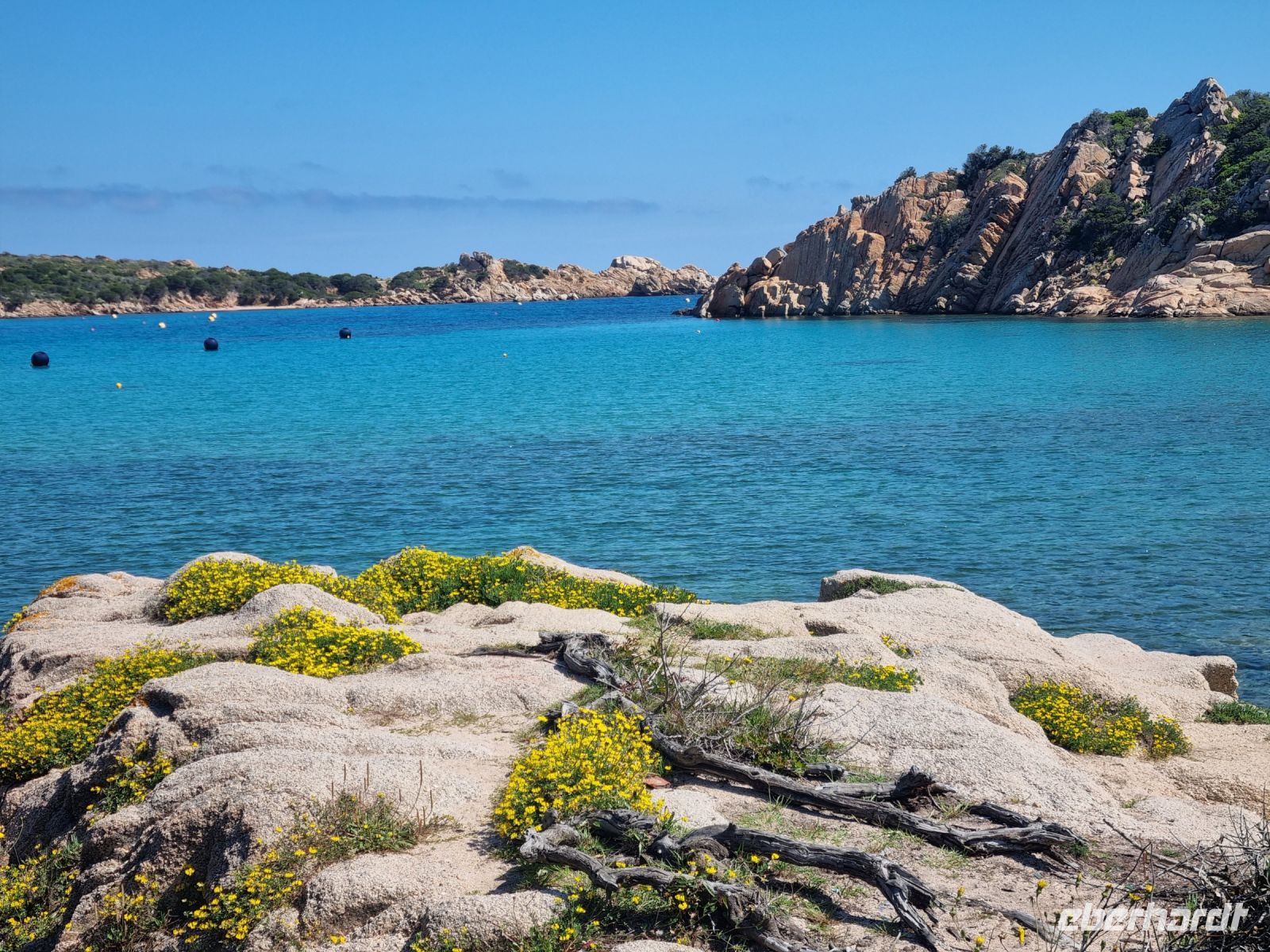 Insel La Maddalena - Spalmatore-Bucht