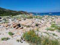 Insel La Maddalena - Bassa Trinita-Strand