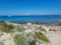 Insel La Maddalena - Bassa Trinita-Strand