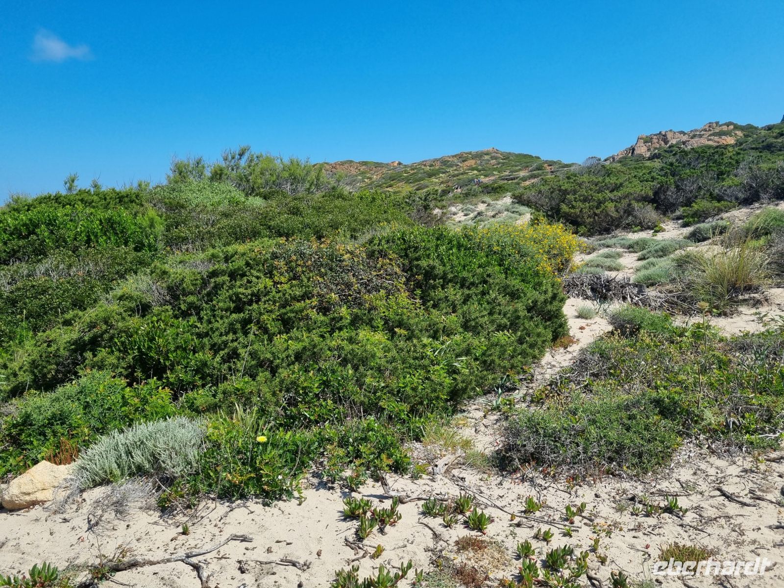 Insel La Maddalena - Bassa Trinita-Strand