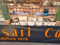 Ajaccio - Produkte auf dem Zentralmarkt