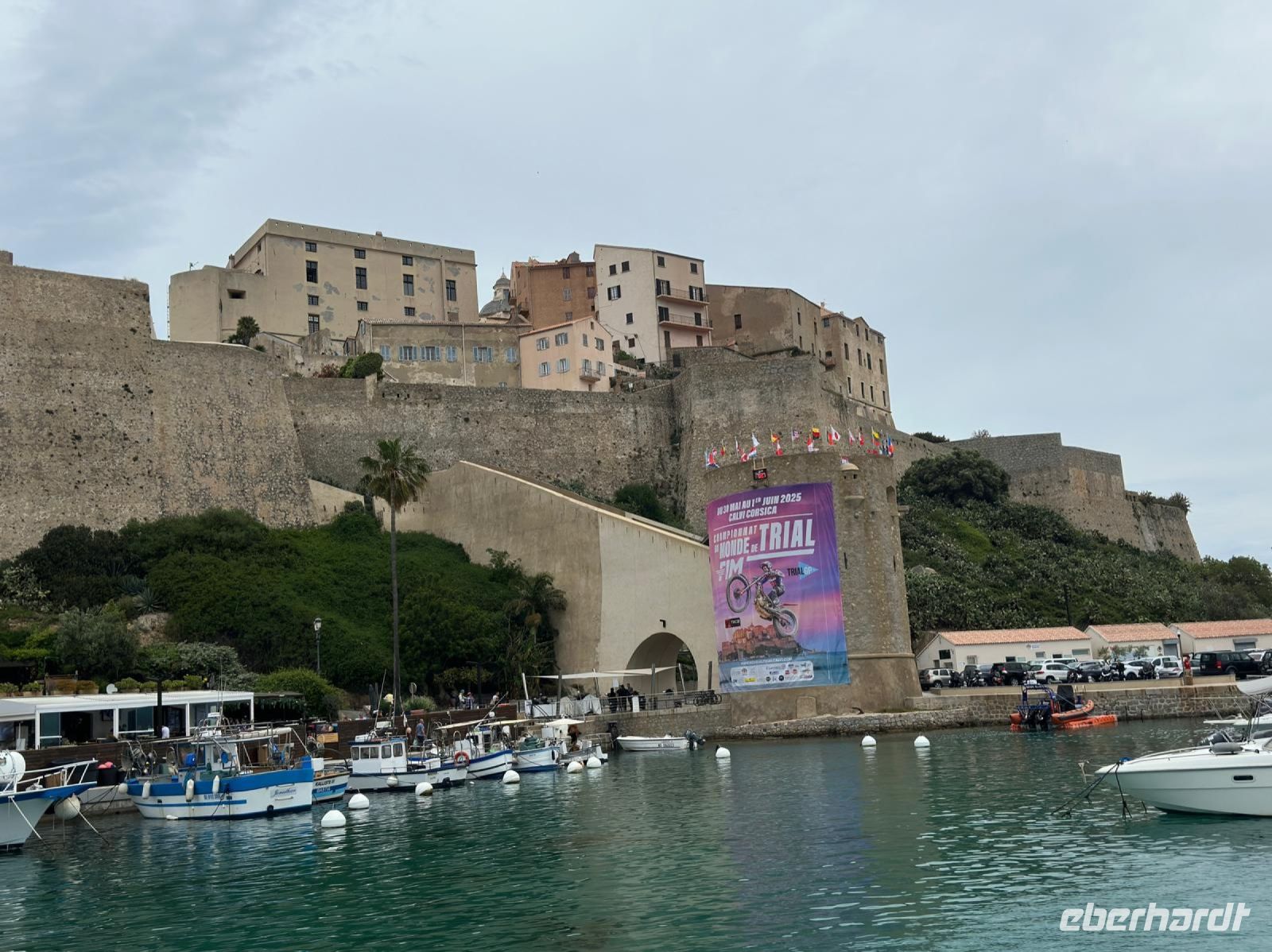 Calvi