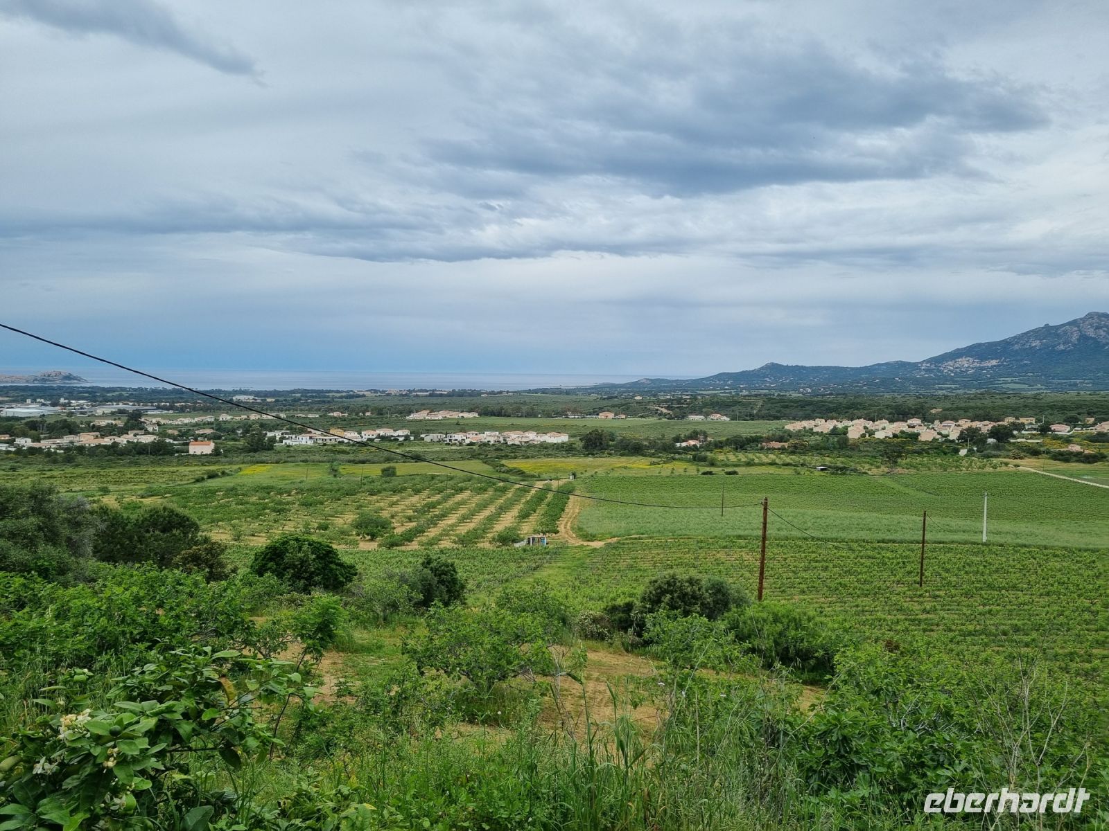 Balagne - Weingut Orsini