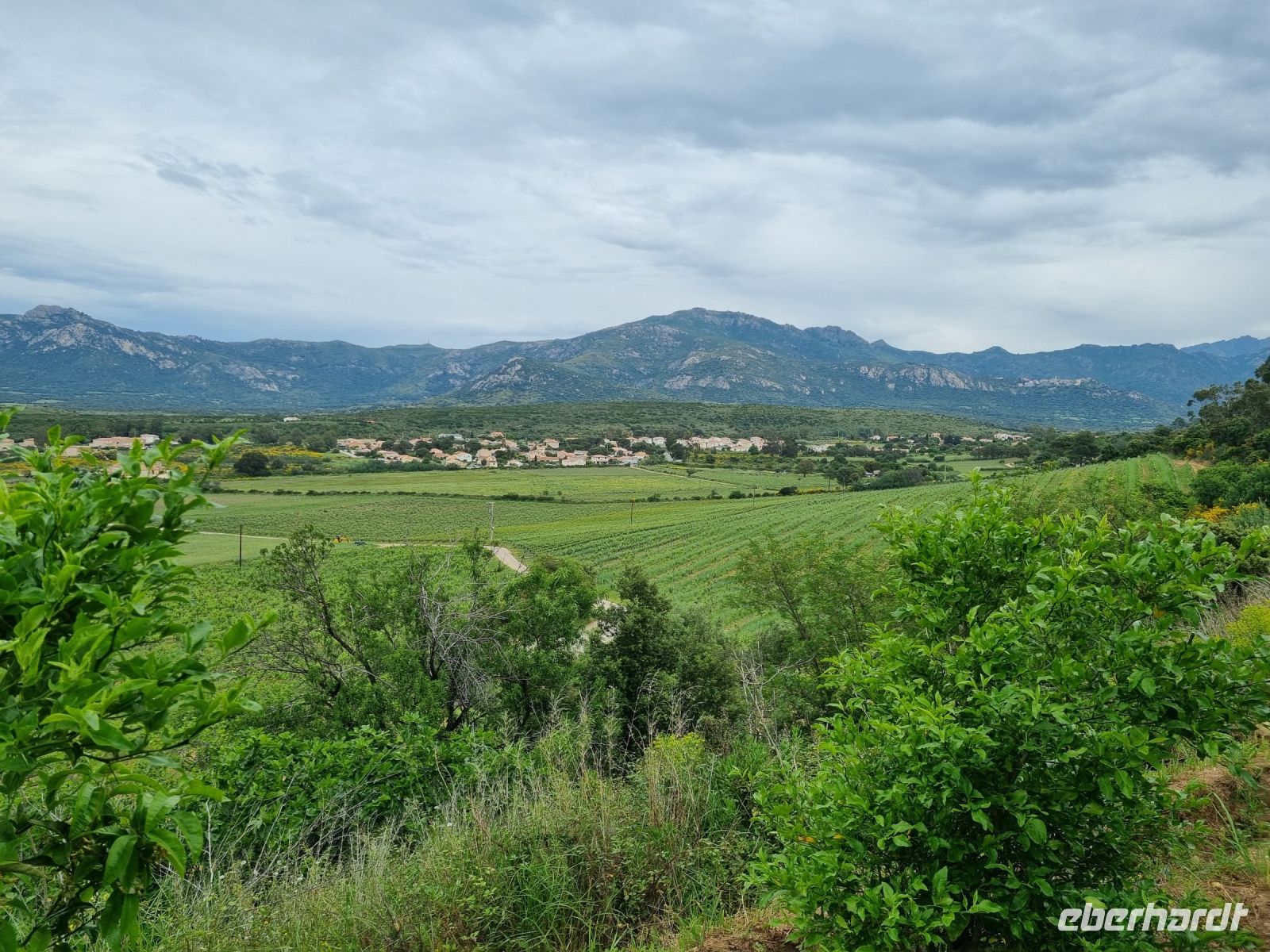 Balagne - Weingut Orsini