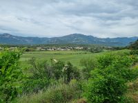 Balagne - Weingut Orsini