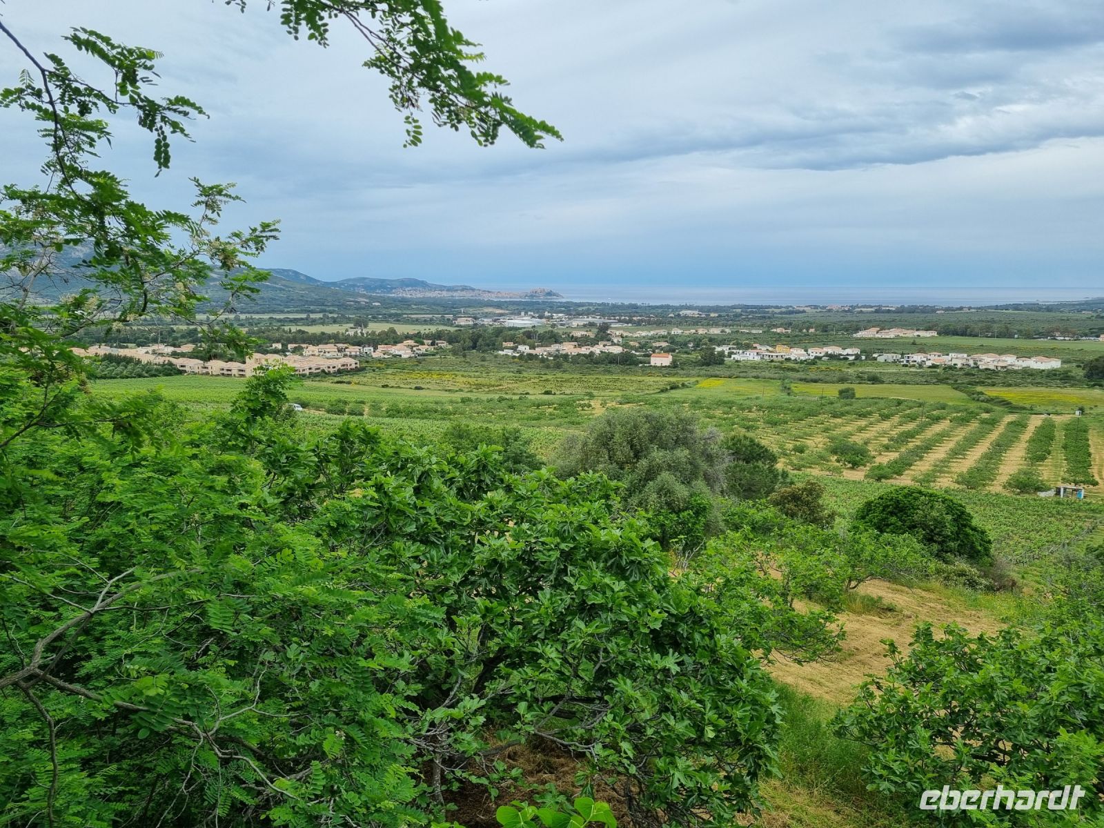 Balagne - Weingut Orsini