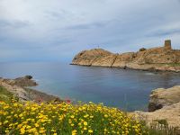 Balagne - L’Île-Rousse (Insel La Pietra)