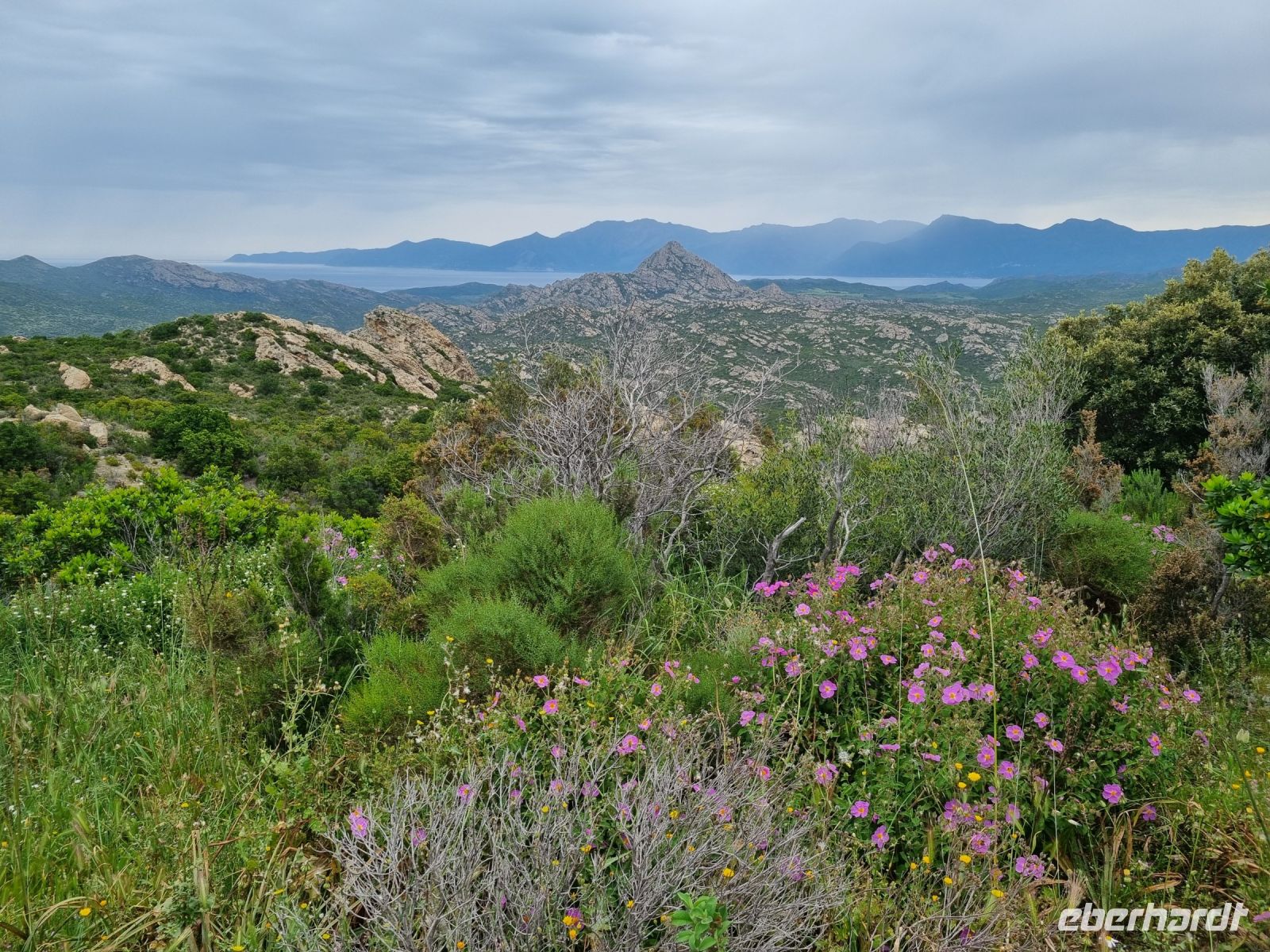 Agriates-Wüste (Macchia)