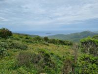 Cap Corse - Blick zur Insel Giraglia