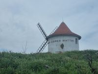 Cap Corse - Windmühle 