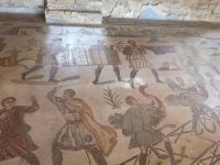 Einer von 45 Räume - alle mehr oder weniger mit Mosaik bedeckt - über 3500 m2 Fläche