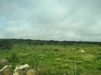 Auf dem Weg nach Pantalica...... viel Natur und wenig Menschen....