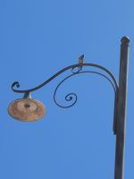 Sing zum Abschied, kleiner Kerl