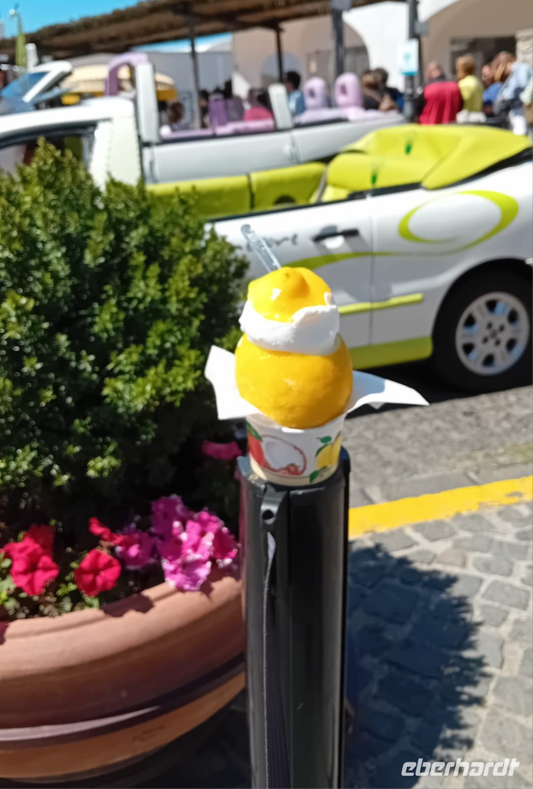 Zitronensorbet typische Servierform in einer Zitrone