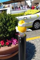 Zitronensorbet typische Servierform in einer Zitrone