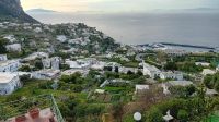 Blick auf Capri und Hafen Grande Marina