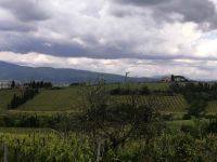 Blick von der Terrasse des Weingutes Montaioncino