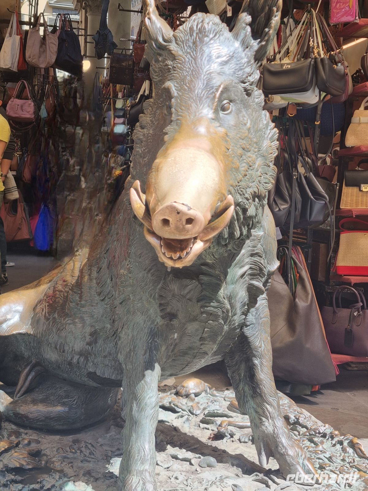 Florenz - Fontana del Porcellino (Wildschwein-Brunnen)