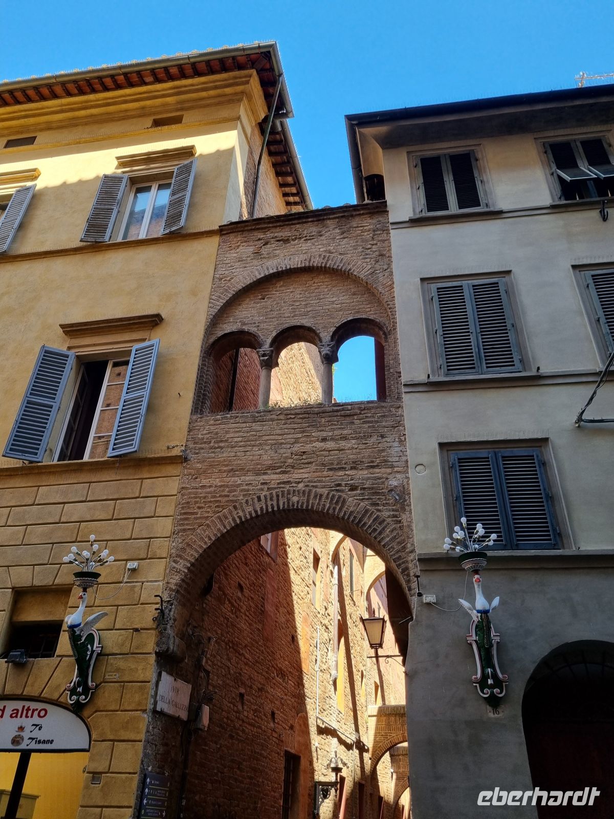 Siena - Altstadt (Contrada „Oca“ = „Gans)“) 