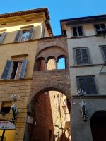 Siena - Altstadt (Contrada „Oca“ = „Gans)“) 