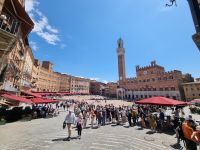 Siena - Piazza del Campo