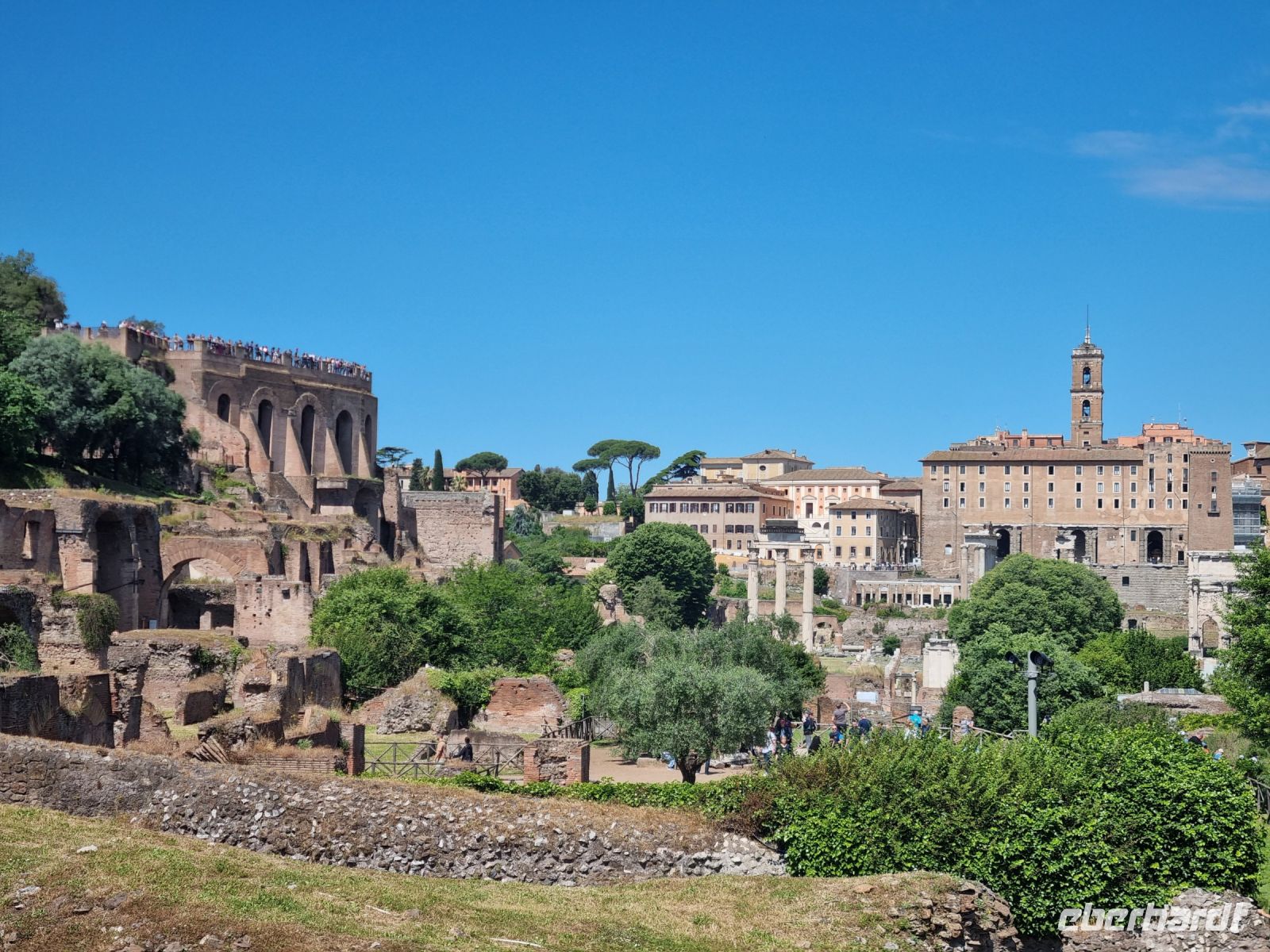 Rom - Forum Romanum 