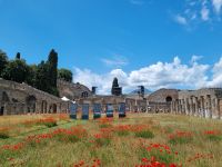 Pompeji - Gladiatoren-Schule