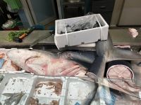 Mercato Centrale in Florenz