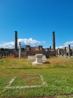 Pompeji - Santuario di Apollo (Apollo-Heiligtum)