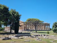 Paestum - Neptun-Tempel 