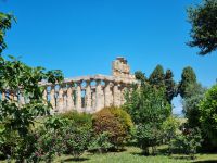 Paesrum - Tempel der Athene