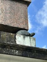 Florenz - Boboli Garten