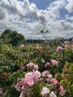 Florenz - Boboli Garten