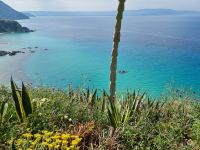 Kalabrien - Capo Vaticano 