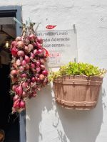 Kalabrien - Tropea (Tropea Rossa Lunga - 