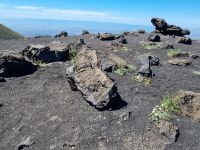 Insel Sizilien - Ätna