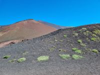 Insel Sizilien - Ätna