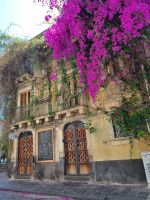 Insel Sizilien - Catania (Altstadt - Palazzo Stella)
