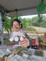 Insel Lipari - Kapernblüte