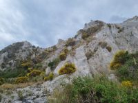 Insel Lipari - Bimsstein