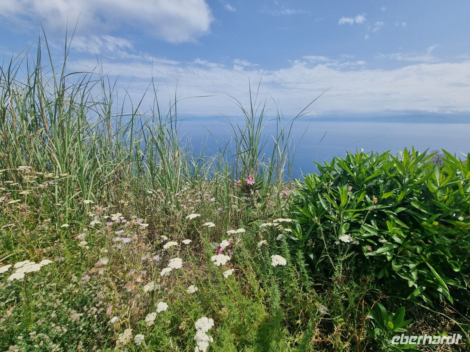 Insel Vulcano - Capo Geldso (Maulbeer-Kap)