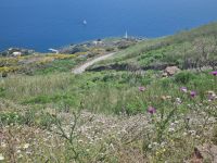 Insel Vulcano - Capo Geldso (Maulbeer-Kap)