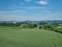 Piemont - Monferrato-Hügel bei Asti