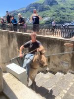 lokales Transportmittel