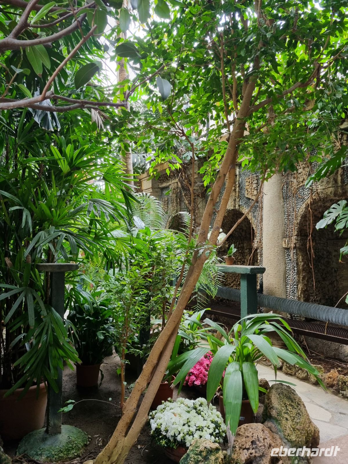 Isola Bella - Italienischer Garten des Palazzo Borromeo