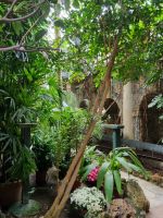 Isola Bella - Italienischer Garten des Palazzo Borromeo