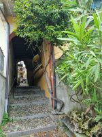 Lago Maggiore - Isola dei Pescatori (Fischerinsel)