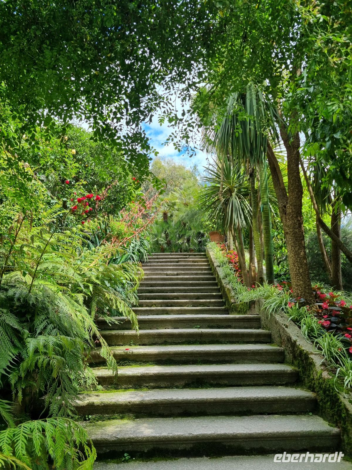 Lago Maggiore - Garten auf der Isola Madre (Mutterinsel)