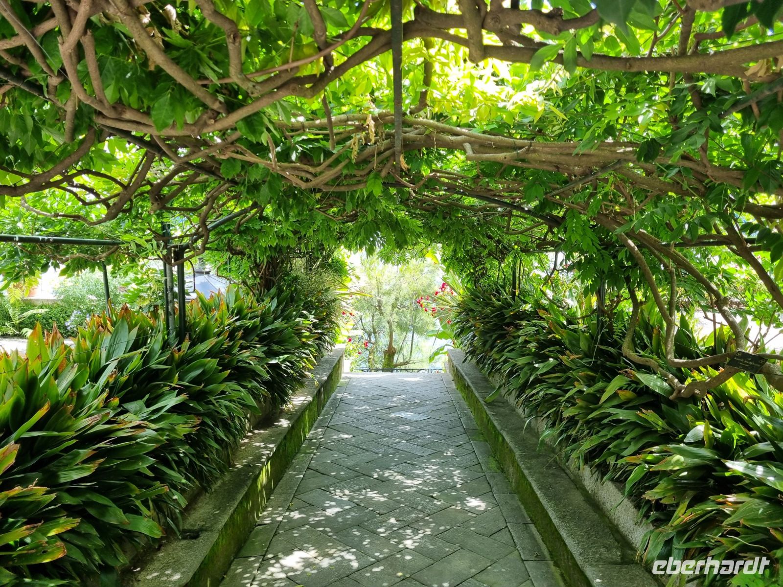 Lago Maggiore - Garten auf der Isola Madre (Mutterinsel)