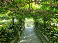 Lago Maggiore - Garten auf der Isola Madre (Mutterinsel)